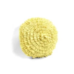 5pc Harley Quilt Set - Lush Décor -Beautiful House GUEST a3925529 3e50 4c64 9a40 0d184f3aeb56