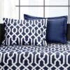 39"x75" 6pc Edward Trellis Daybed Cover Set - Lush Décor